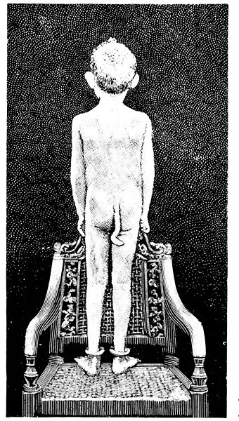 Illustration for article titled The science of human tails
